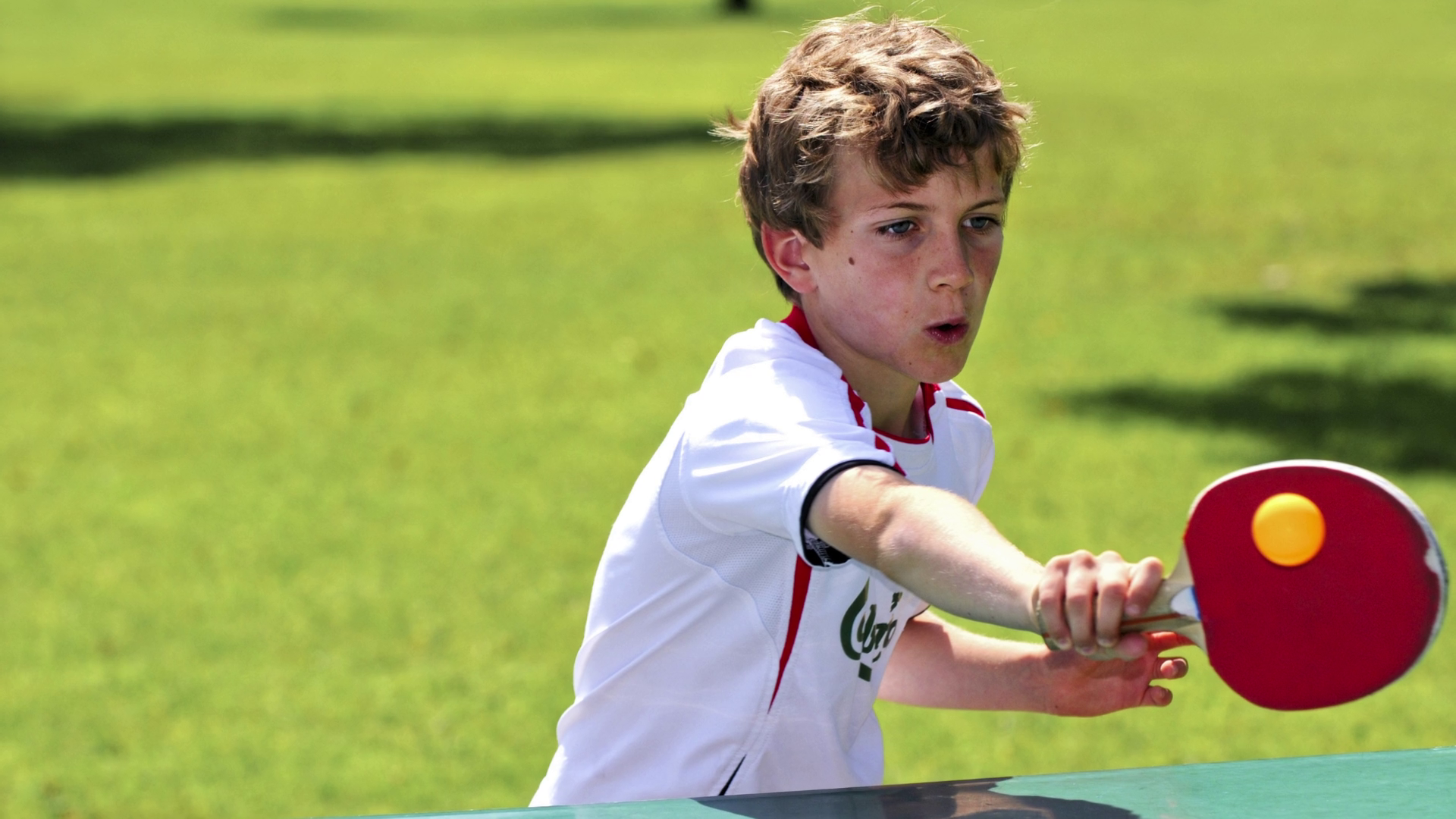 play table tennis