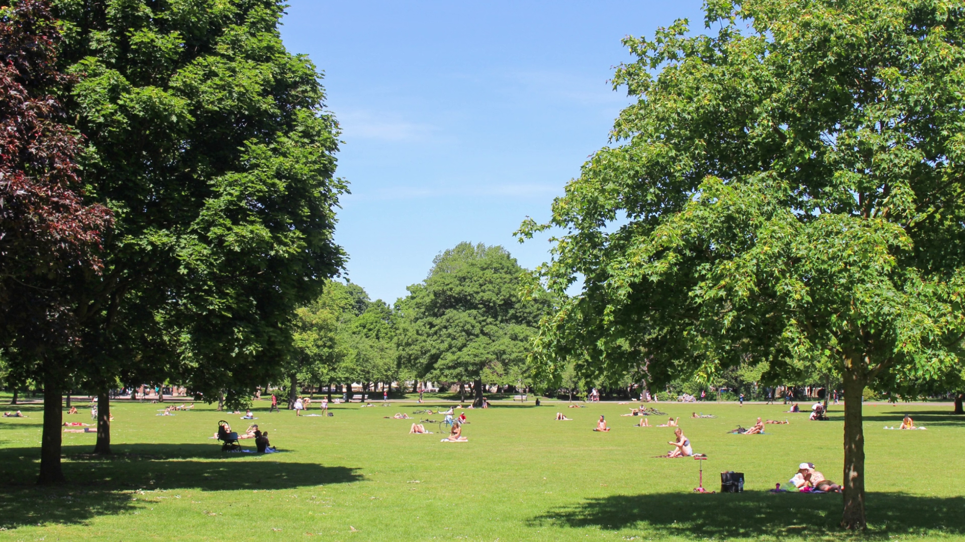 park