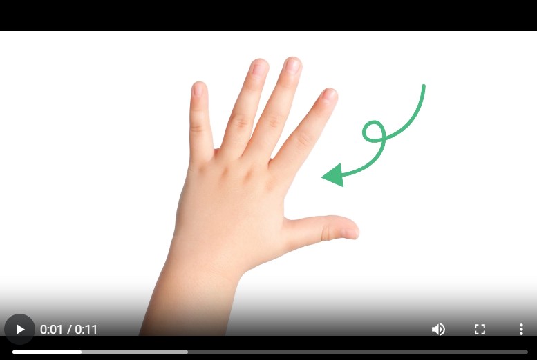 hand